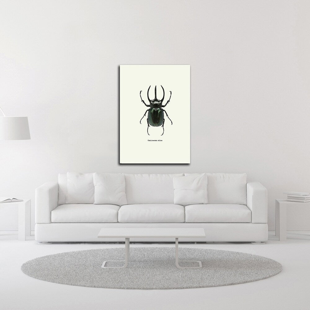 Beetle Black by GraphINC - Premium Canvas Wall Art Print, Ready to Hang - Perfect for Living Room, Bedroom & Office Decor