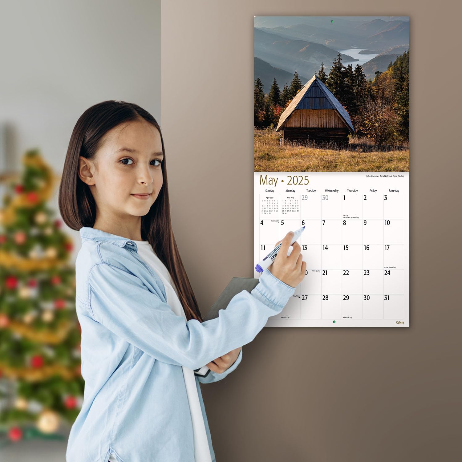 MICASA Cabins 2025 Wall Calendar - 12 Month Nature Scenes (12