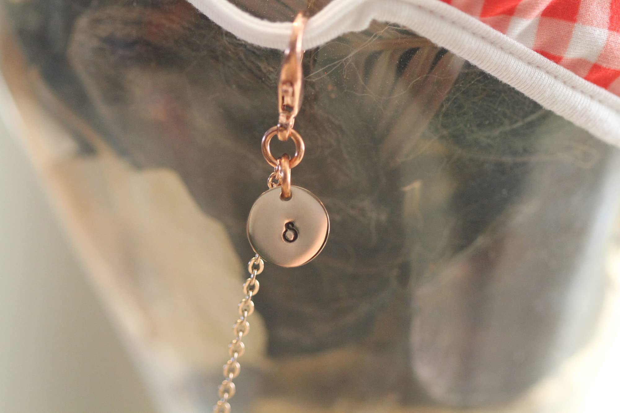 Rose Gold Stainless Steel Face Mask Lanyard - Personalized Mask Chain Holder with Lobster Clasps | Adjustable Mask Strap Necklace for Work, Travel & Daily Protection
