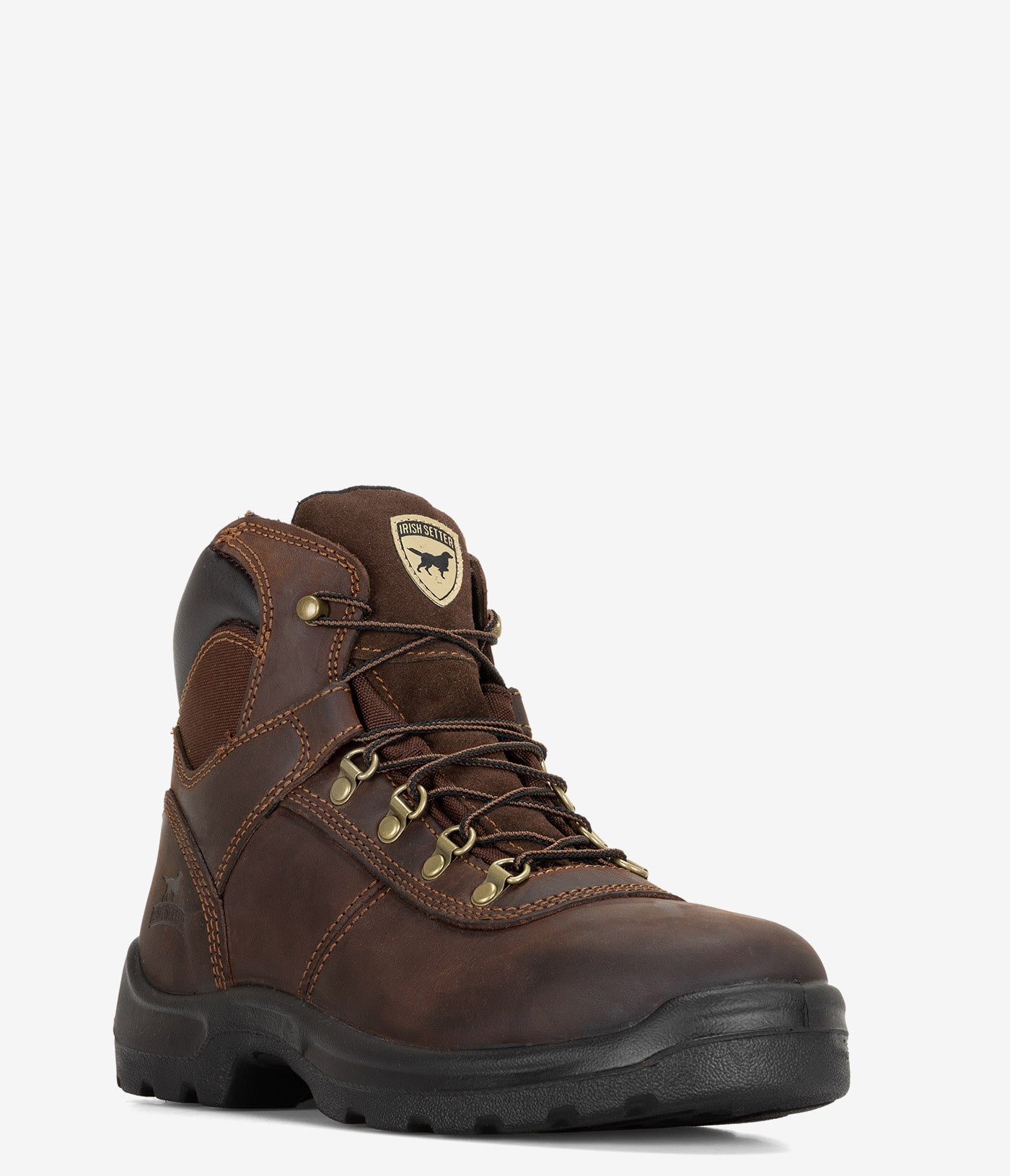 Irish Setter Ely 6