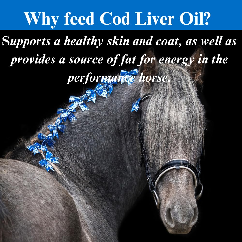 Premium Cod Liver Oil for Horses - Omega 3, Vitamin A & D Supplement for Healthy Skin & Shiny Coat - Essential Fatty Acids for Equine Health - 1 Gallon (4 Month Supply) - Ideal for Daily Nutrition & Show Horse Care