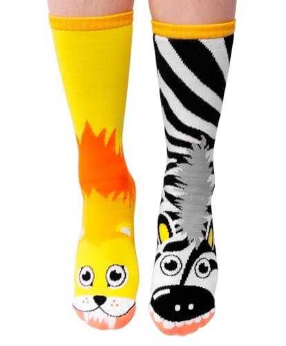 Lion & Zebra