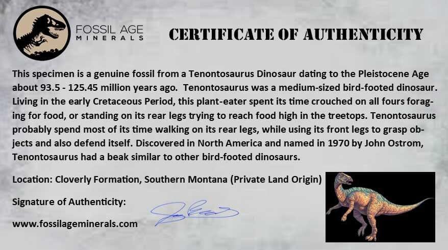 Authentic 0.7