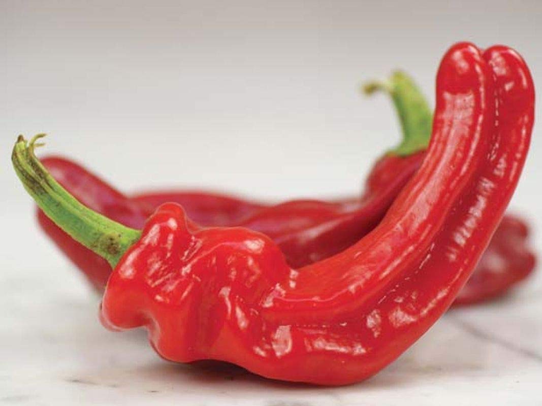 Figitelli Sicilia Sweet Pepper Seeds - Non-GMO Italian Heirloom Variety (50 Seeds) for Home Garden, Cooking & Mediterranean Cuisine