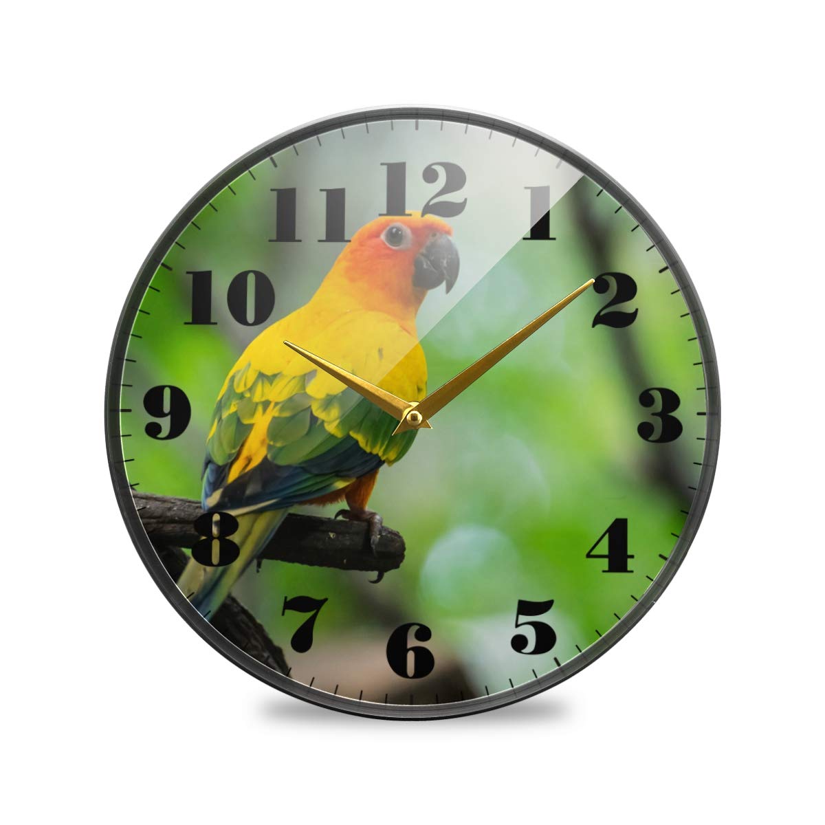 Joysay Silent Non-Ticking Wall Clock - Battery Operated Sun Conure Tree Branch Design for Living Room, Office & Bedroom Decor | Perfect for Home, Workspace & Gift Giving