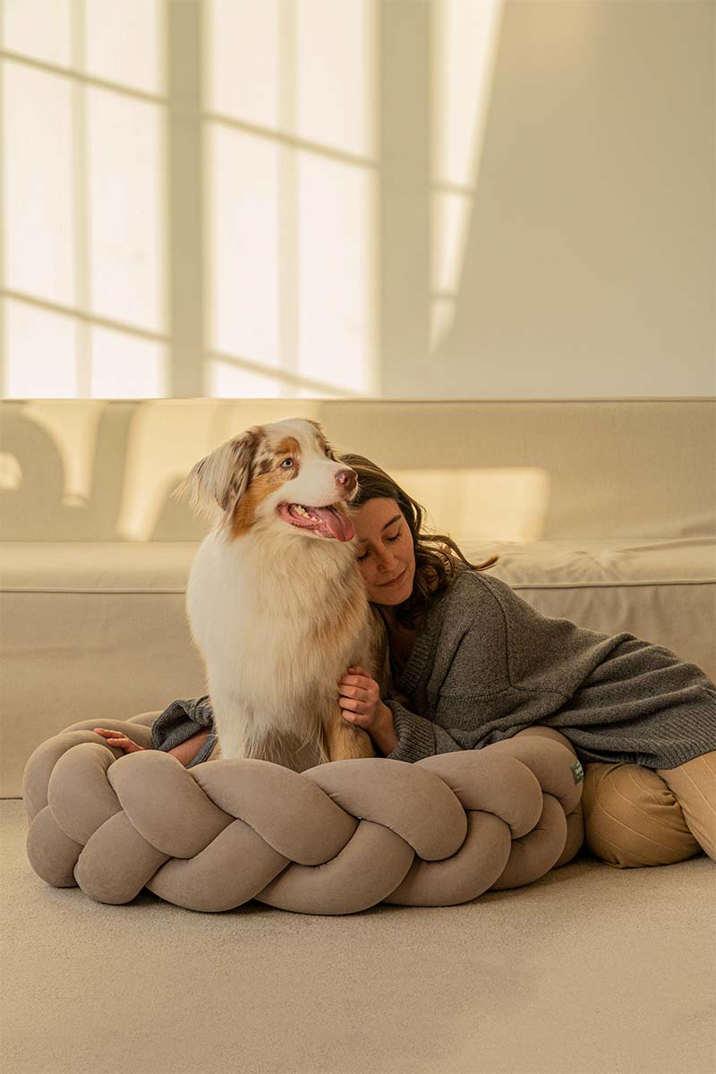 Premium Orthopedic Dog Bed for Large Dogs - Pony Kolosony Beige - Comfortable & Washable Pet Bed for Puppies, Senior Dogs - Perfect for Living Room, Bedroom, or Crate Use