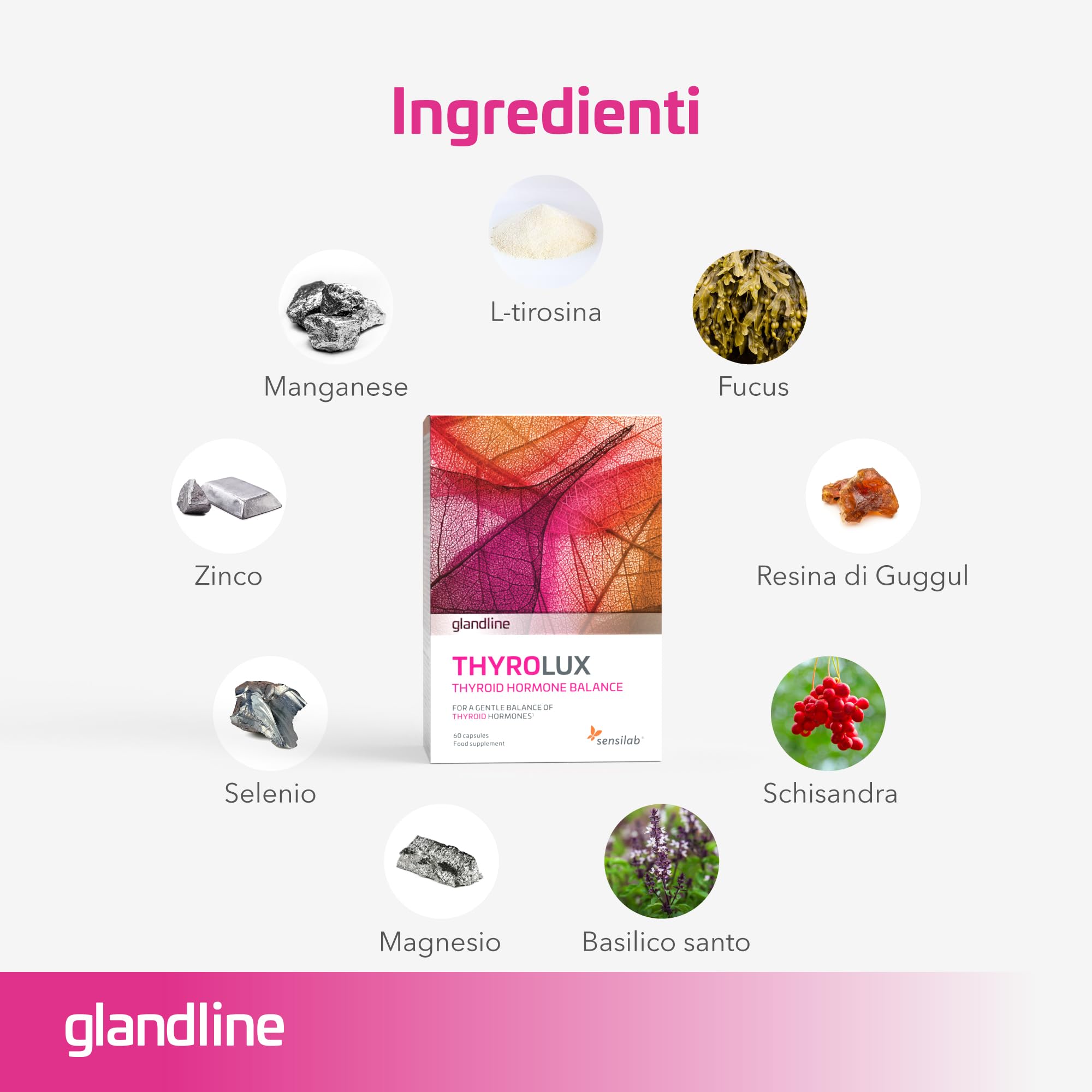 Thyrolux Sensilab - Thyroid Support Supplement with Iodine, L-Tyrosine, Selenium, Magnesium, Schisandra & Zinc - 60 Vegan Capsules - Plant-Based Nutrients for Energy & Metabolism - Perfect for Thyroid Health & Hormone Balance