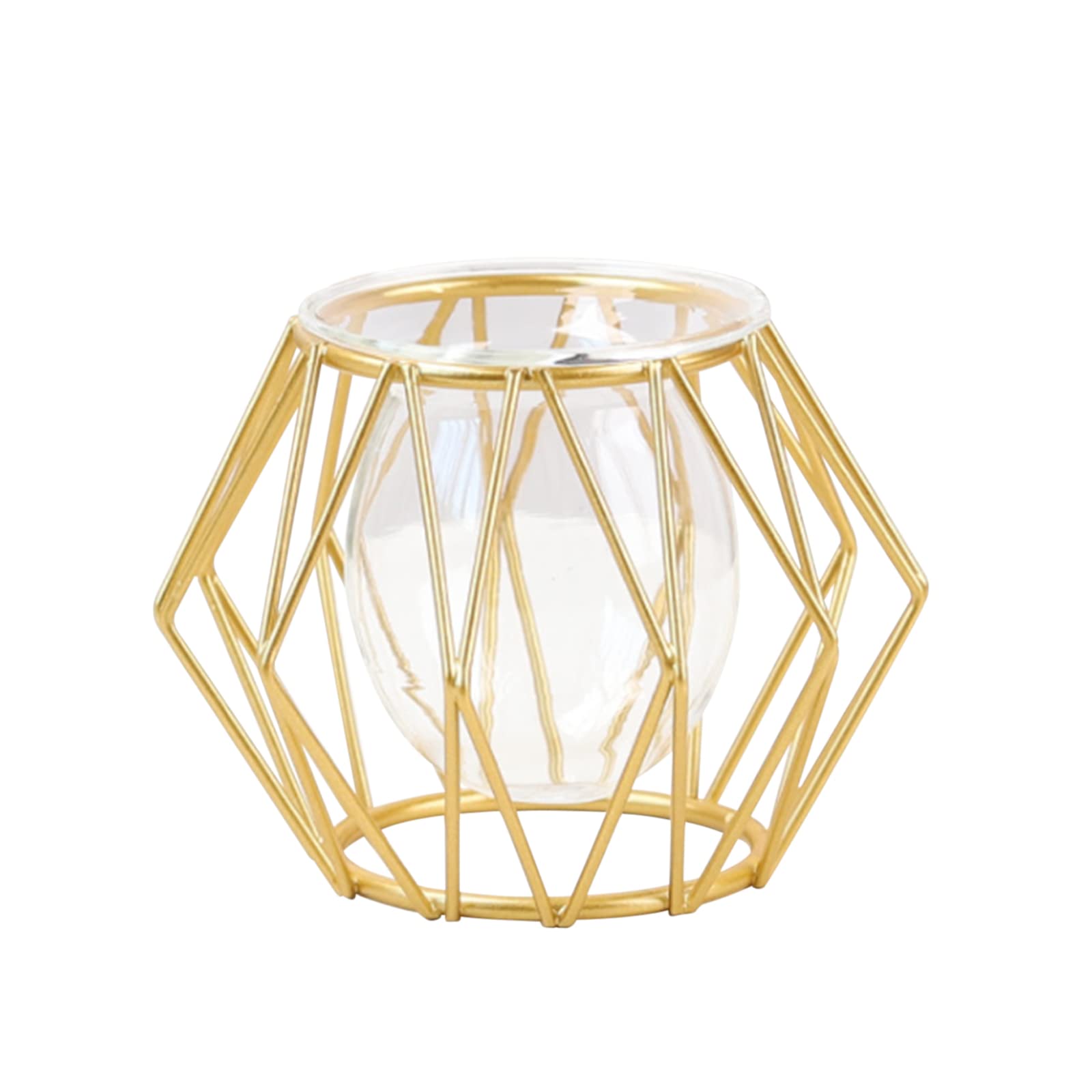 2Pcs Gold Hexagon Geometric Metal Frame Glass Vase - Modern Test Tube Vase for Hydroponic Plants, Flowers & Centerpieces - Perfect for Home, Office, Wedding & Holiday Party Table Decor