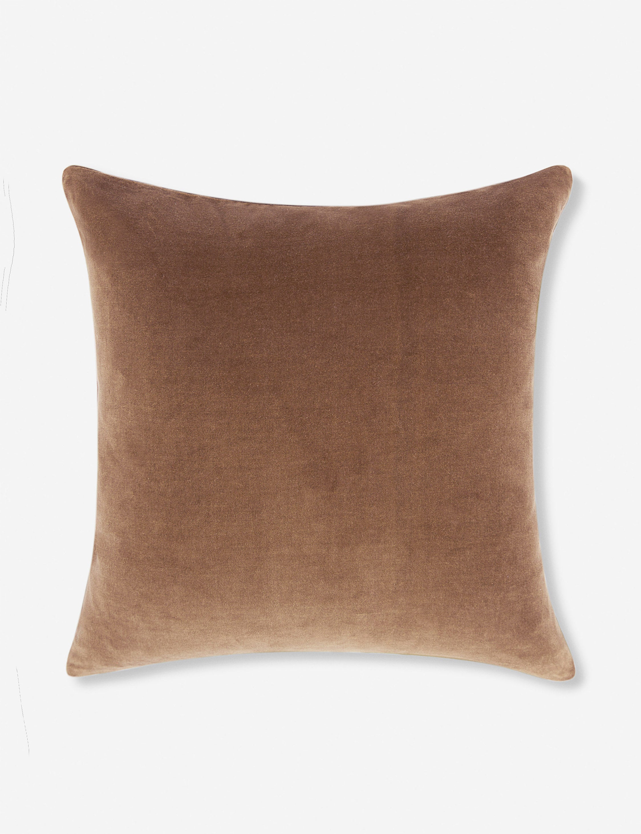Charlotte Velvet Pillow - Soft Luxury Decorative Throw Pillow for Sofa, Bed & Couch - Perfect for Living Room, Bedroom & Home Decor