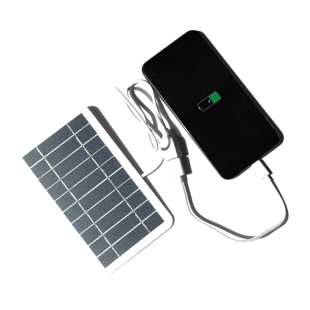 2W Portable Solar Panel with USB Output - Lightweight & Flexible Solar Charger for Phones, Camping, Hiking & Outdoor Activities