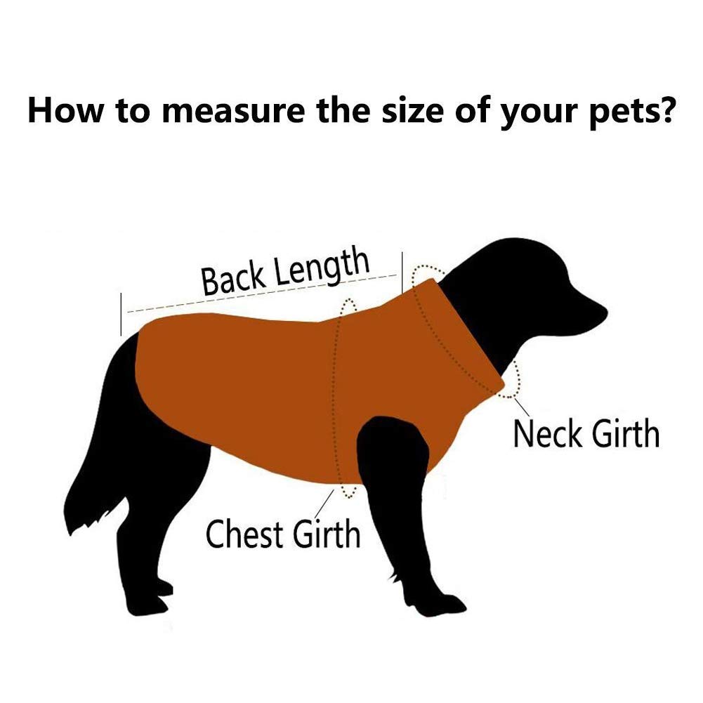 Stylish Pet Dog Jeans Jacket & Hoodie - Cool Winter Coat for Small & Medium Dogs & Puppies (Black-White XL) | Perfect for Outdoor Walks & Photo Shoots