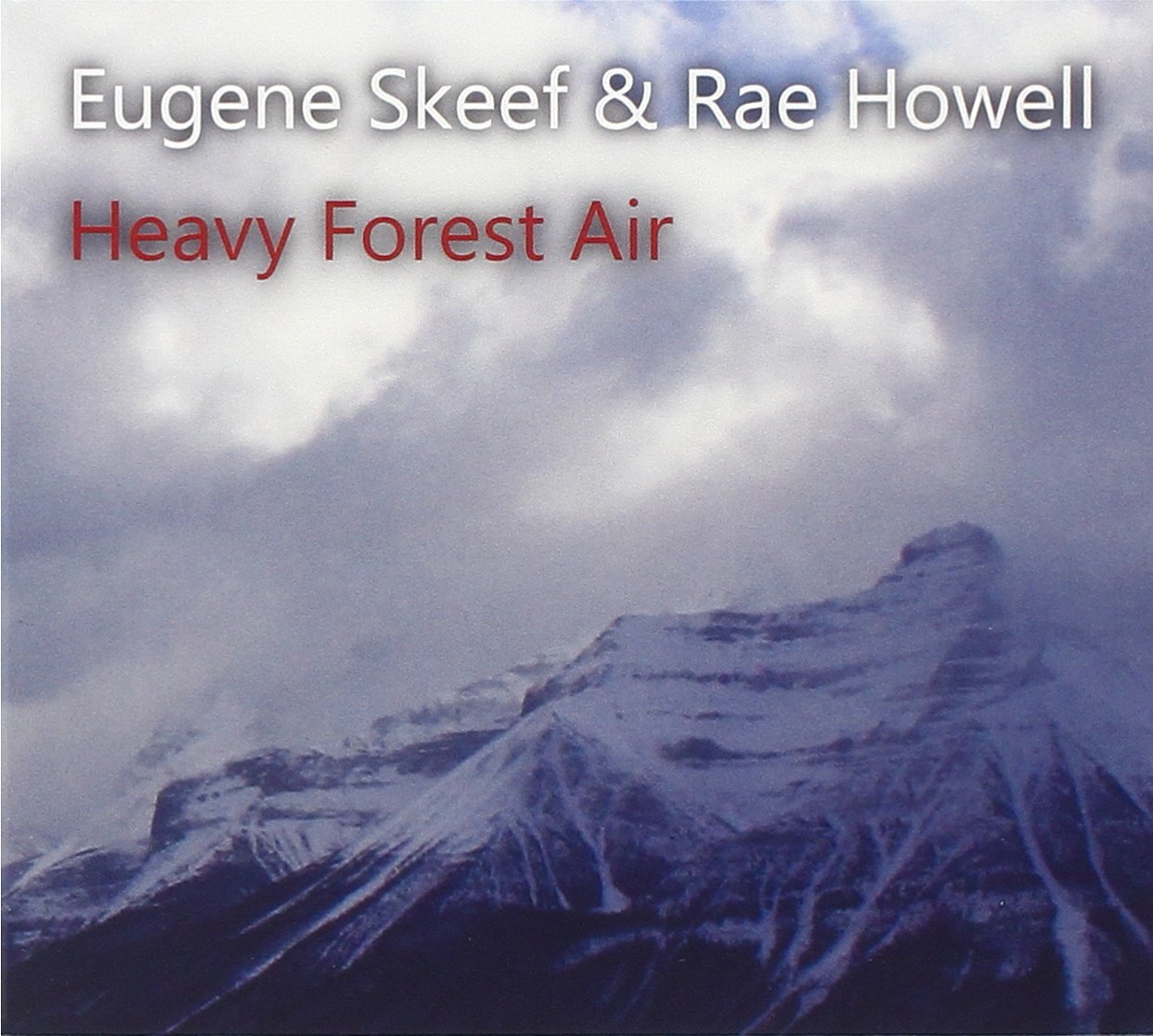 Heavy Forest Air - Premium Scented Candles for Home, Relaxation & Aromatherapy | Perfect for Living Room, Bedroom & Spa