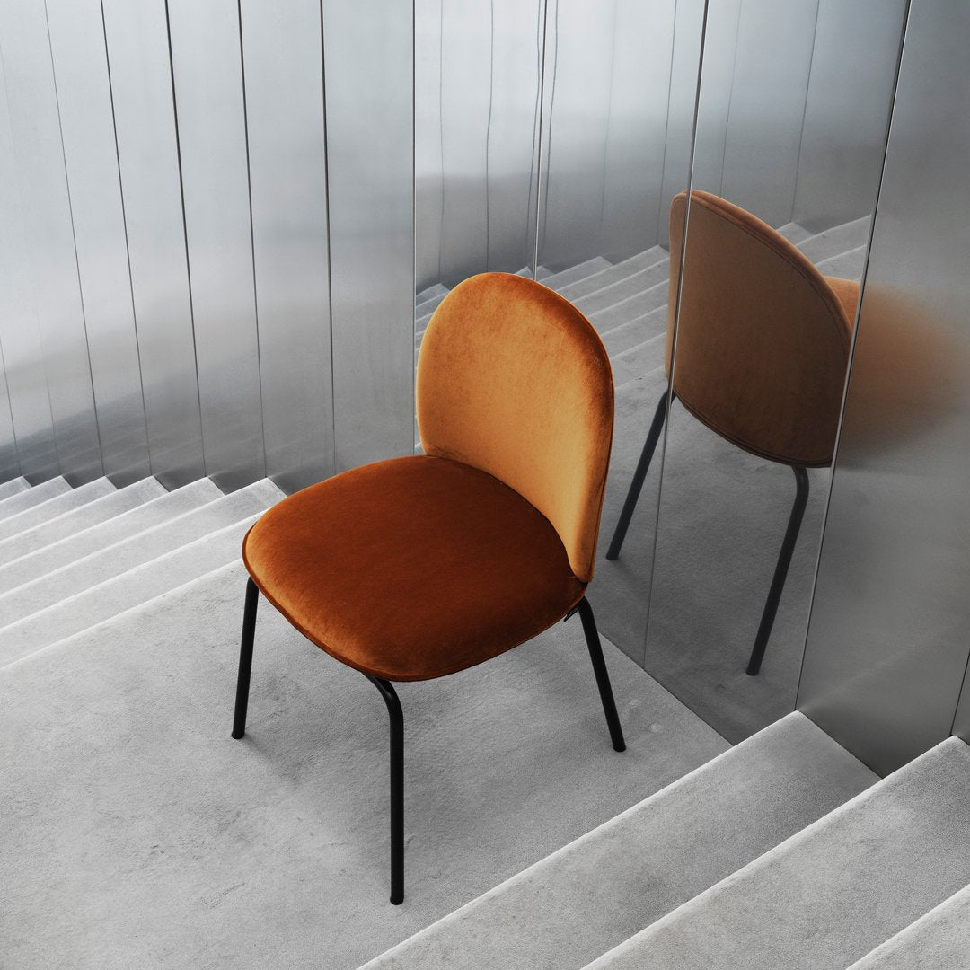 Ace Dining Chair - Modern Wooden Kitchen Chairs with Padded Seat - Set of 2 for Dining Room, Kitchen, Breakfast Nook & Home Office