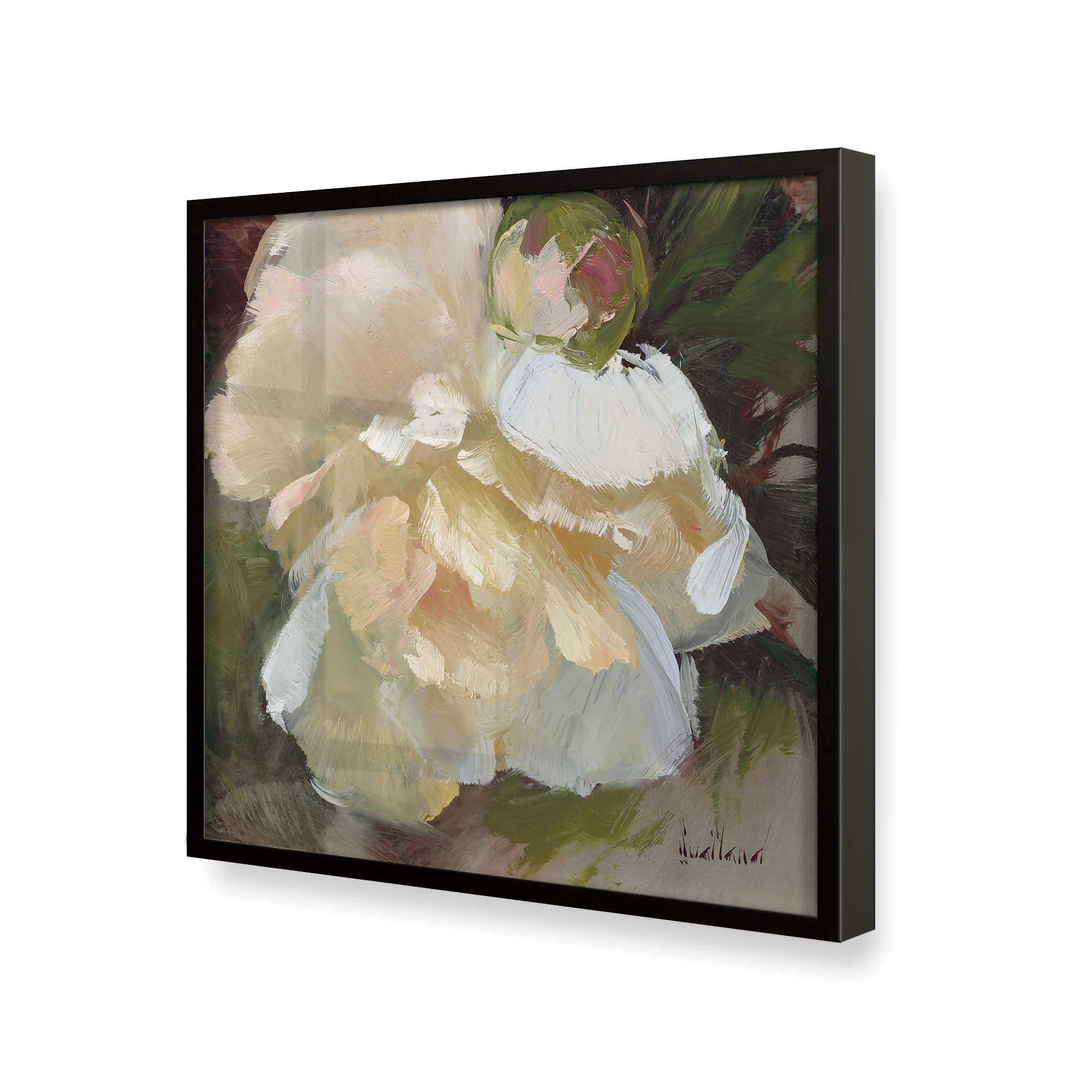 Graceful White Peony Bloom II Print - Elegant Floral Wall Art for Home Decor, Living Room, Bedroom & Office