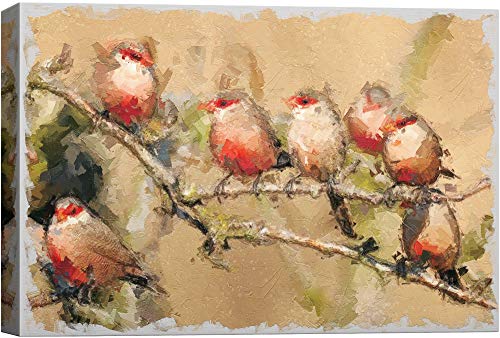Base06-2103-birds-hol02