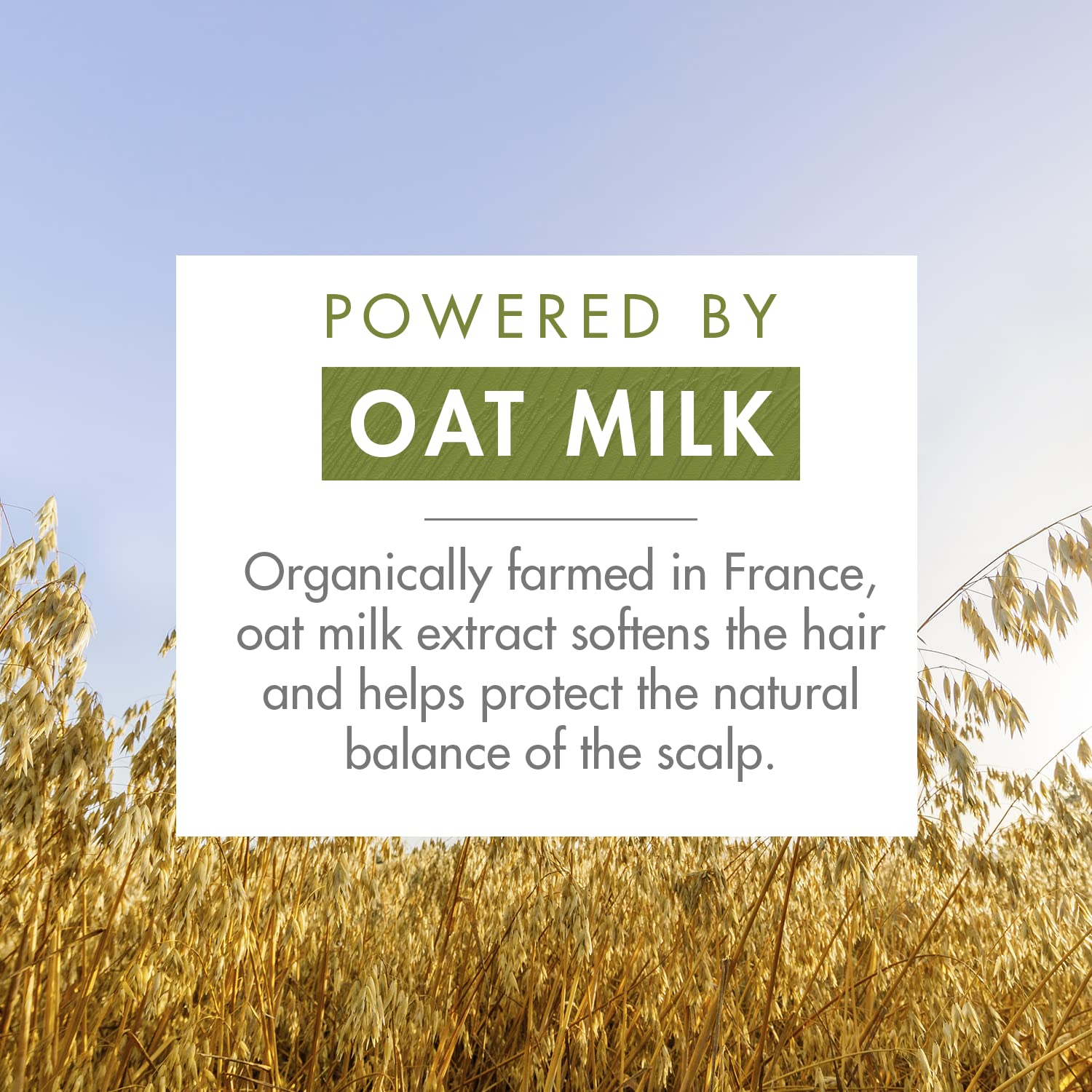 Klorane Dry Shampoo Powder with Oat Milk - Non-Aerosol, Eco-Friendly & Paraben-Free Formula for Oily Hair | Perfect for Travel, Gym & Quick Hair Refresh