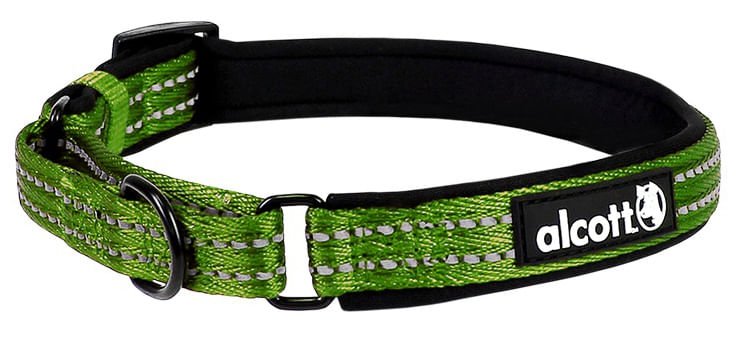 Alcott Martingale Dog Collar - Adjustable No-Slip Training Collar for Small & Medium Dogs - Perfect for Walking, Training & Outdoor Adventures