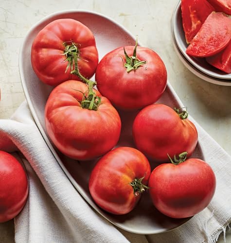 Delicious Beefsteak