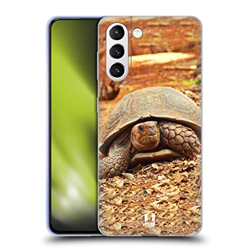 Crawling Tortoise