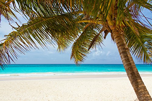White Sand