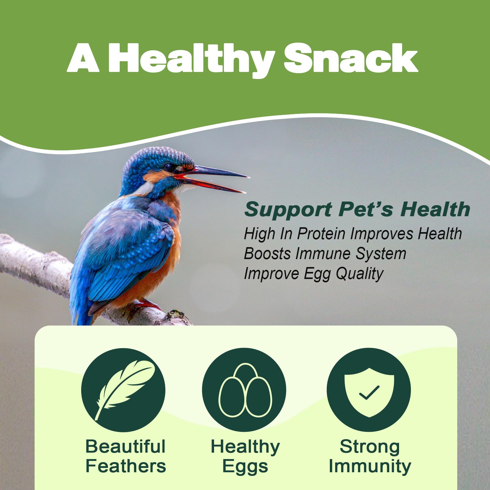 Premium Dried Mealworms - 11 LBS Bulk - 100% Natural Non-GMO High Protein Treats for Wild Birds, Chickens, Hamsters, Reptiles & More | Perfect for Bird Feeders, Chicken Coops & Pet Nutrition