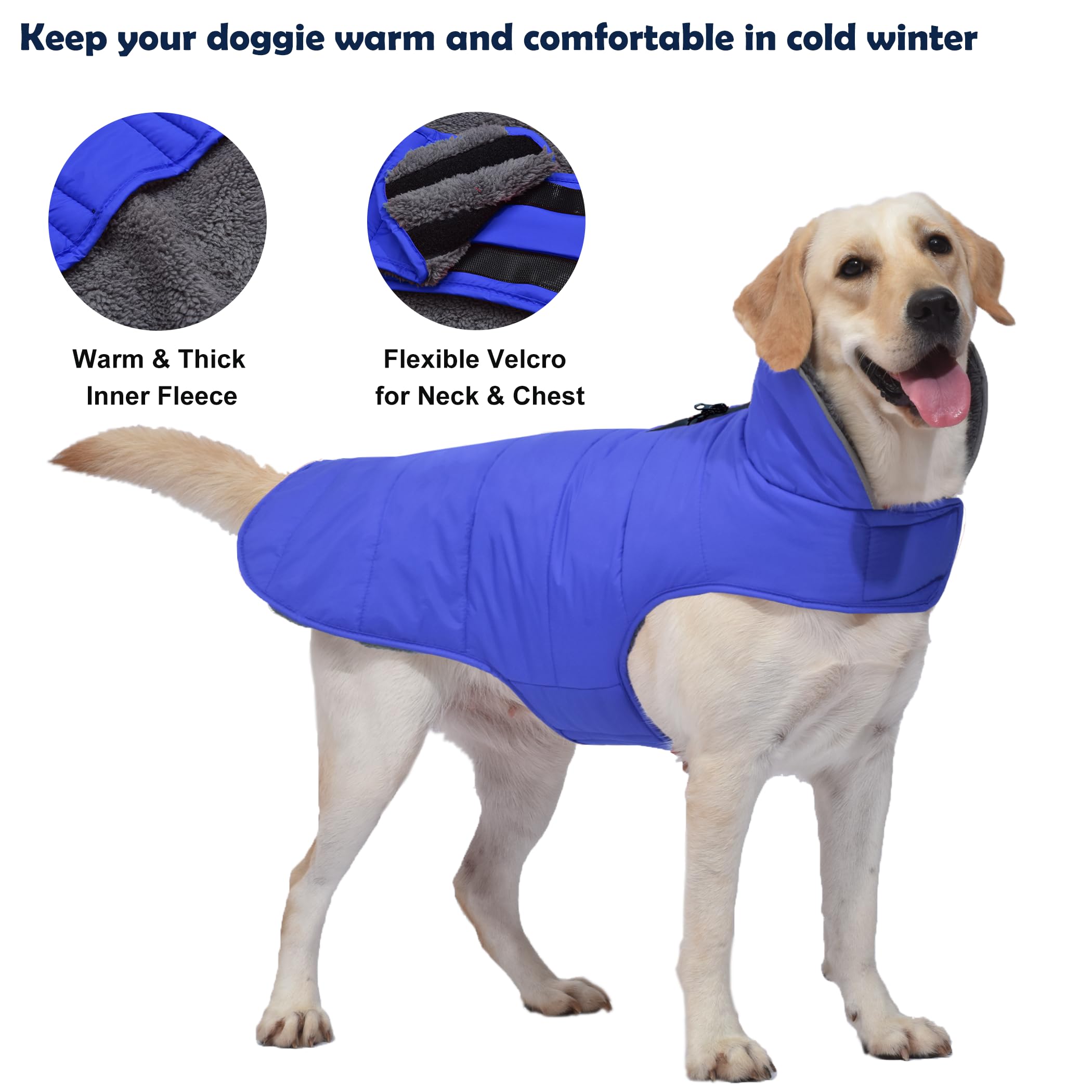 Waterproof Reflective Dog Winter Coat with Leash Hole - Windproof Fleece Snow Jacket for Small Medium Large Dogs - Blue XS - Perfect for Cold Weather Walks & Outdoor Adventures