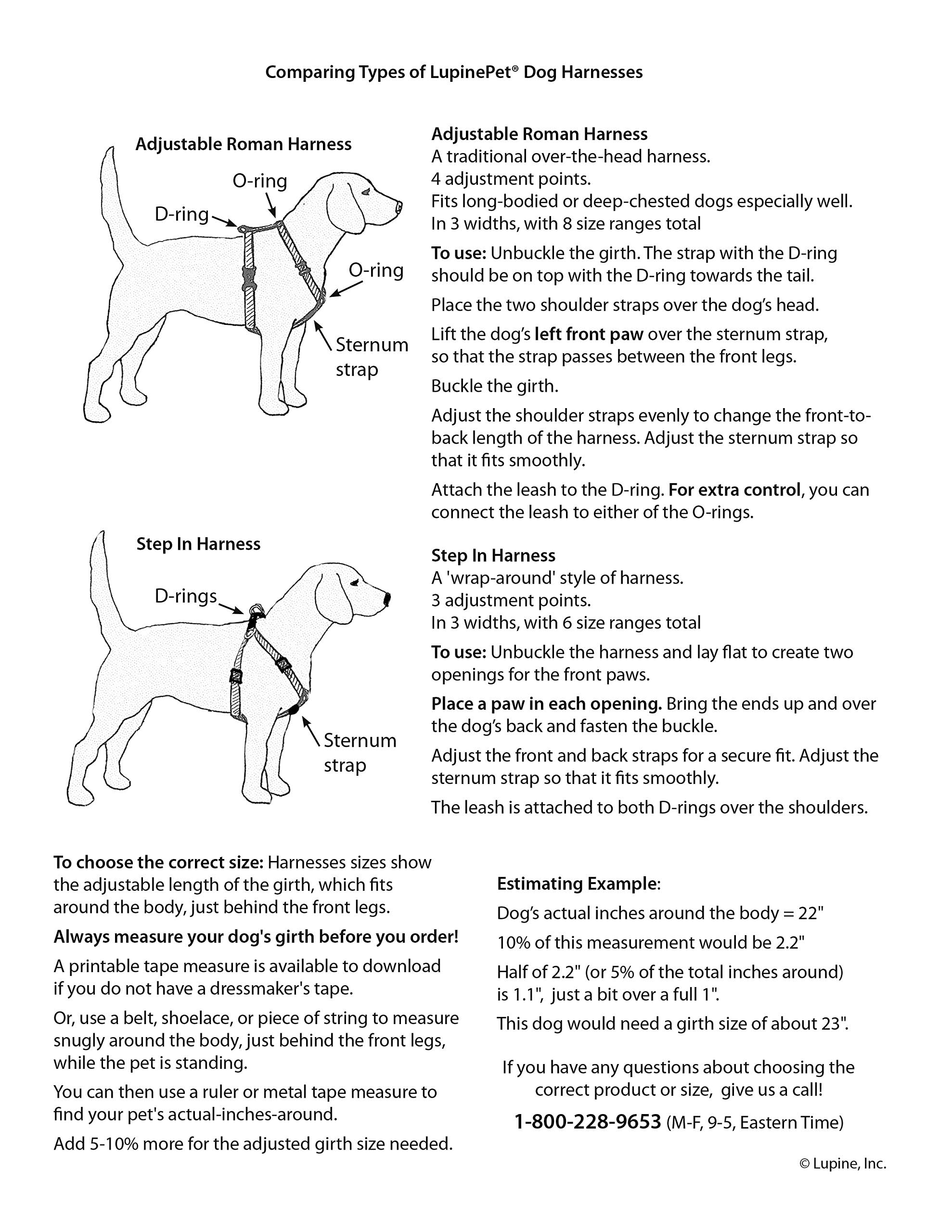 LupinePet Basics 1