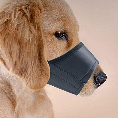 Adjustable Nylon Dog Muzzle for Small Medium Large Dogs - Quick Fit Pet Muzzle to Prevent Biting, Barking & Chewing - Black | Perfect for Training, Grooming & Vet Visits