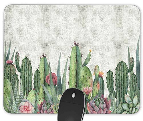 Succulent Cactus