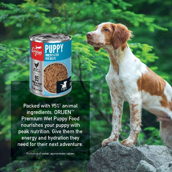 Orijen Puppy Canned Dog Food - High Protein Grain-Free Wet Food for Growing Puppies | Perfect for Small & Medium Breed Dogs at Home or Travel
