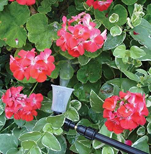 Solo 420 2-Liter One-Hand Pressure Sprayer with Adjustable Telescoping Wand - Perfect for Gardening, Lawn Care, and Pest Control