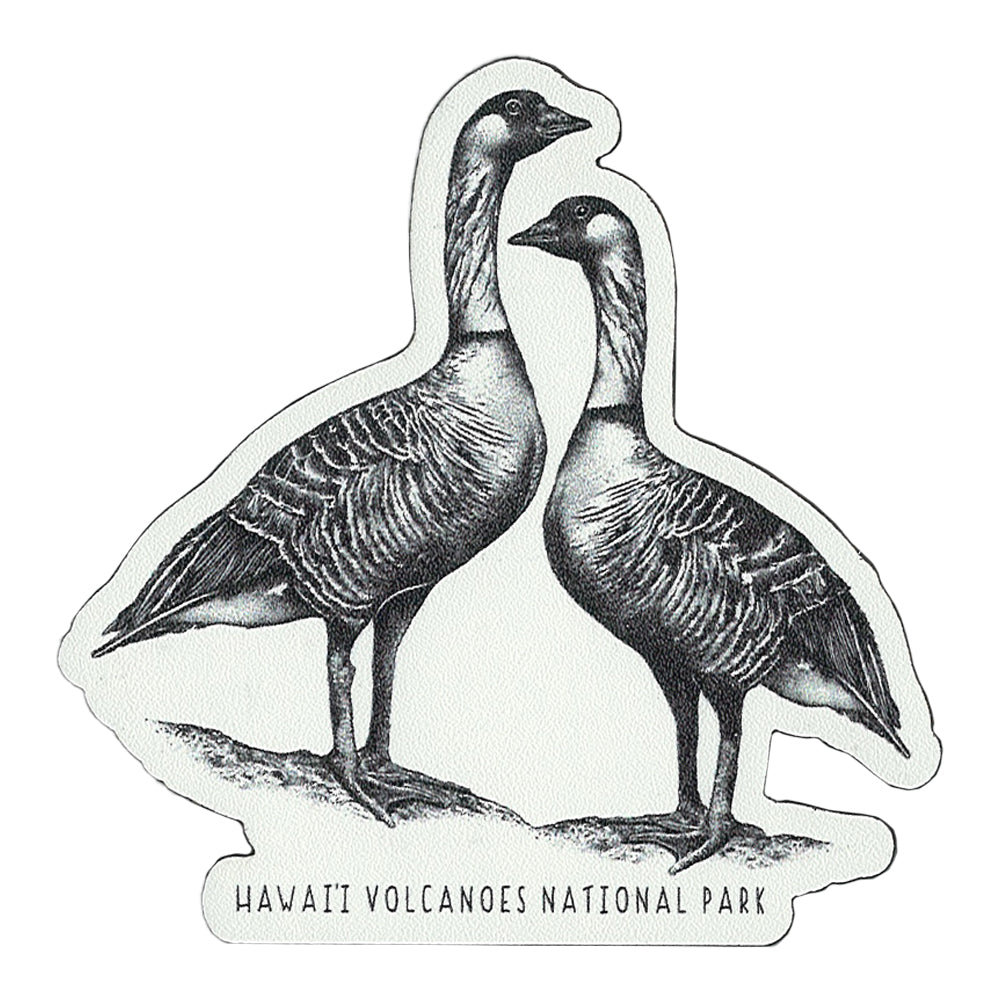 Nēnē Illustration Magnet - Hawaiian Goose Decorative Fridge Magnet for Home, Office & Gifts - Perfect for Refrigerators, Whiteboards & Metal Surfaces