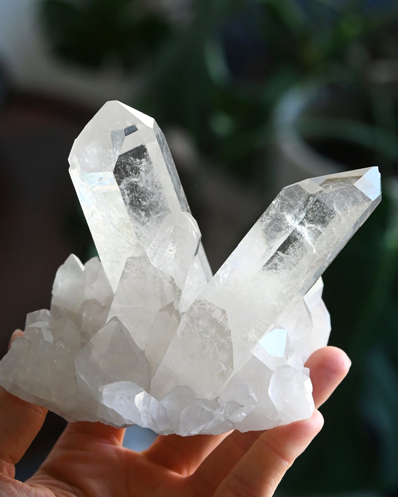 Natural Quartz Cluster - 1lb Raw Crystal Specimen for Healing, Meditation & Home Decor | Perfect for Reiki, Feng Shui & Spiritual Practices