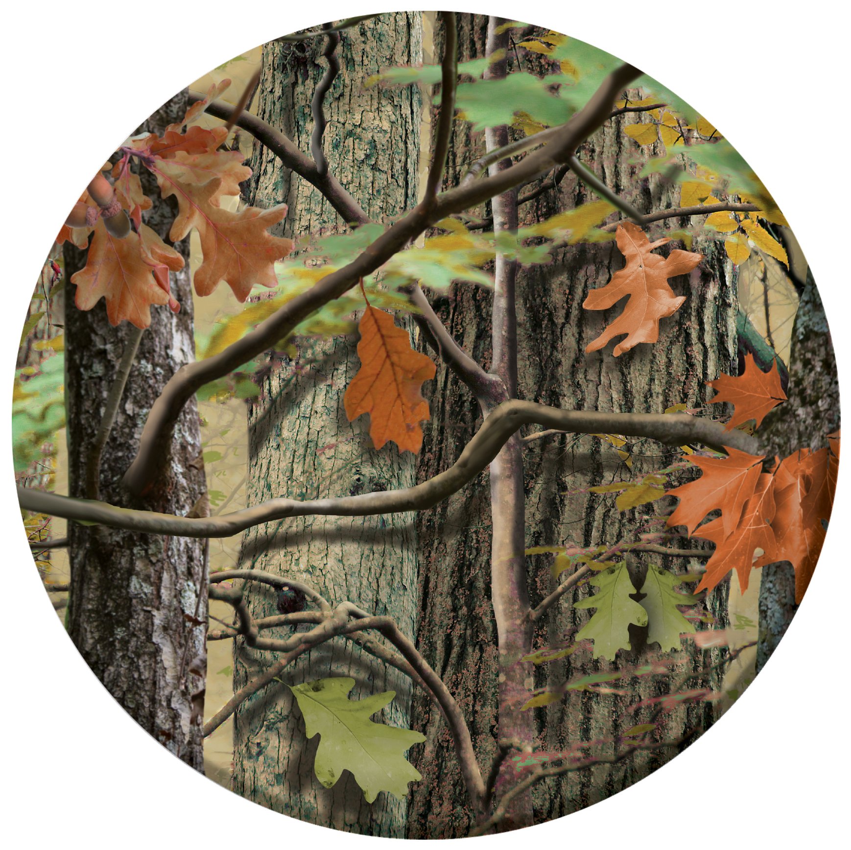 Creative Converting 8 Count Camouflage Hunting Paper Dinner Plates - Durable Disposable Plates for Outdoor Camping, BBQs, and Hunting Parties