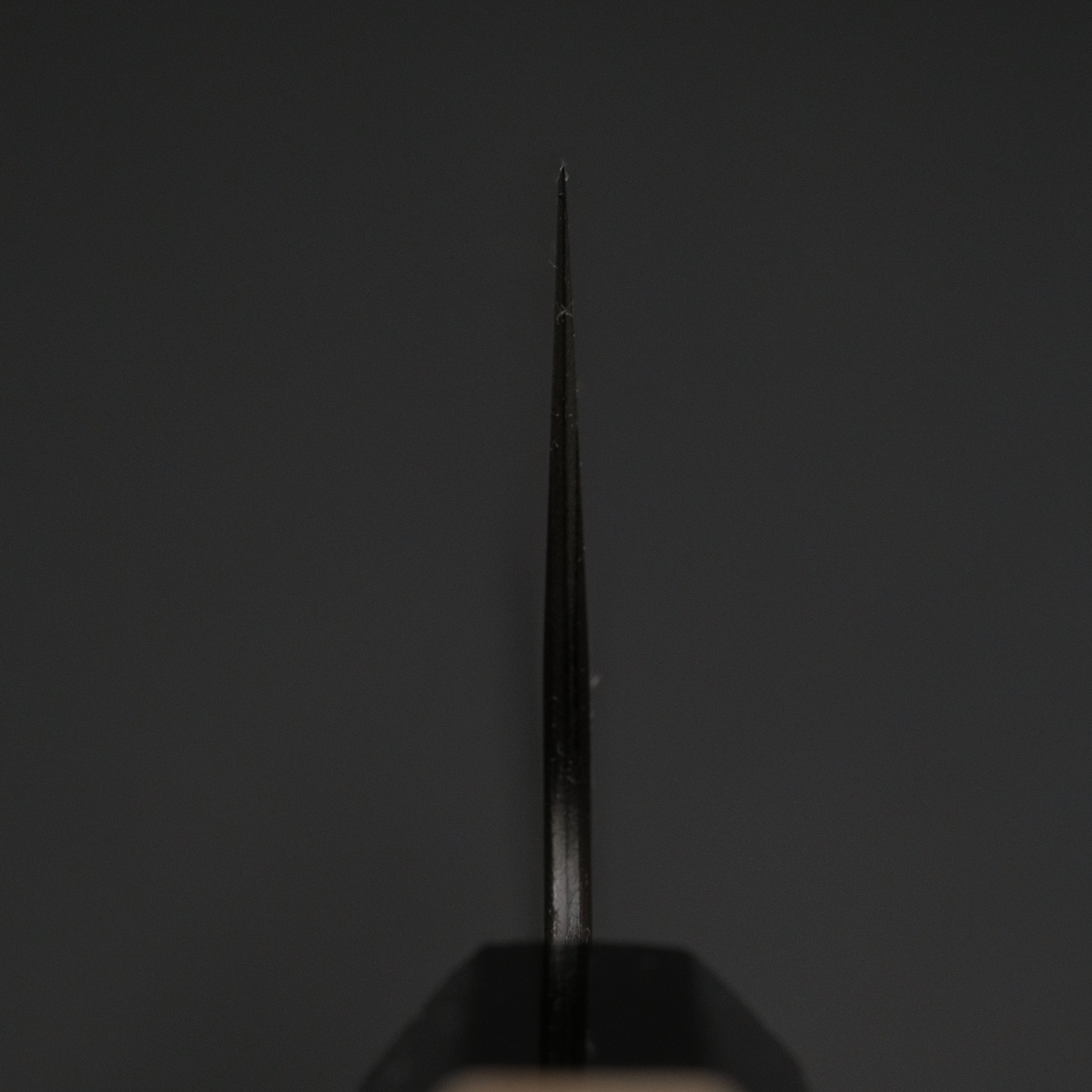 Hitohira Futana SB Kuro Nashiji Gyuto 240mm Japanese Chef Knife - High Carbon Steel Blade with Ho Wood Handle for Professional Chefs & Home Cooking - Perfect for Slicing, Dicing & Meat Preparation