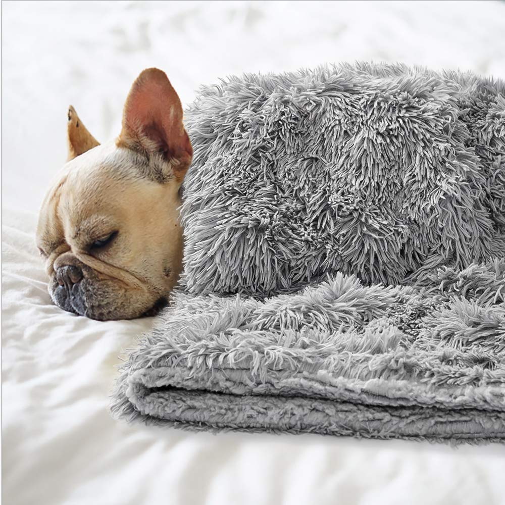 BENRON Small Dog Blanket 20x30 Inches - Reversible Fleece Pet Blanket for Couch, Bed & Crate - Soft Washable Grey Throw for Puppies & Small Dogs - Perfect for Indoor Use, Travel & Cuddling