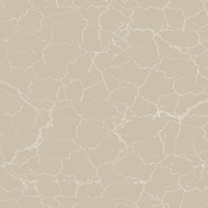 Marble Beige