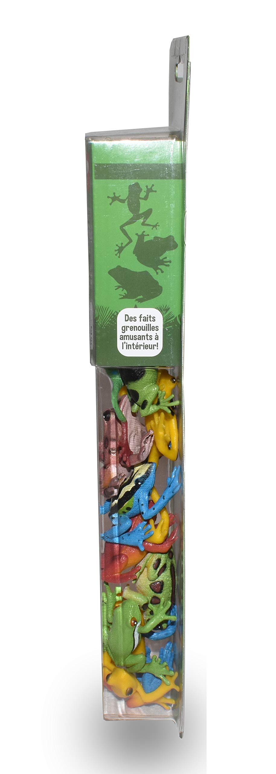 Wild Republic Frog Nature Tube - 12-Piece Realistic Amphibian Figures Set, Educational Frog Toys for Kids | STEM Learning, Nature Exploration & Animal Lover Gift