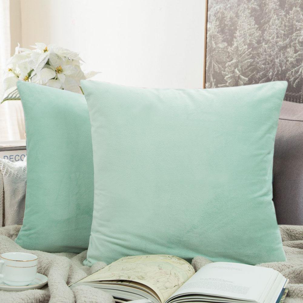 NTBAY 2 Pack Soft Velvet Throw Pillow Covers - 18x18 Inch Luxury Cushion Cases for Sofa, Bed, Couch Decor - Home & Living Room Accessories