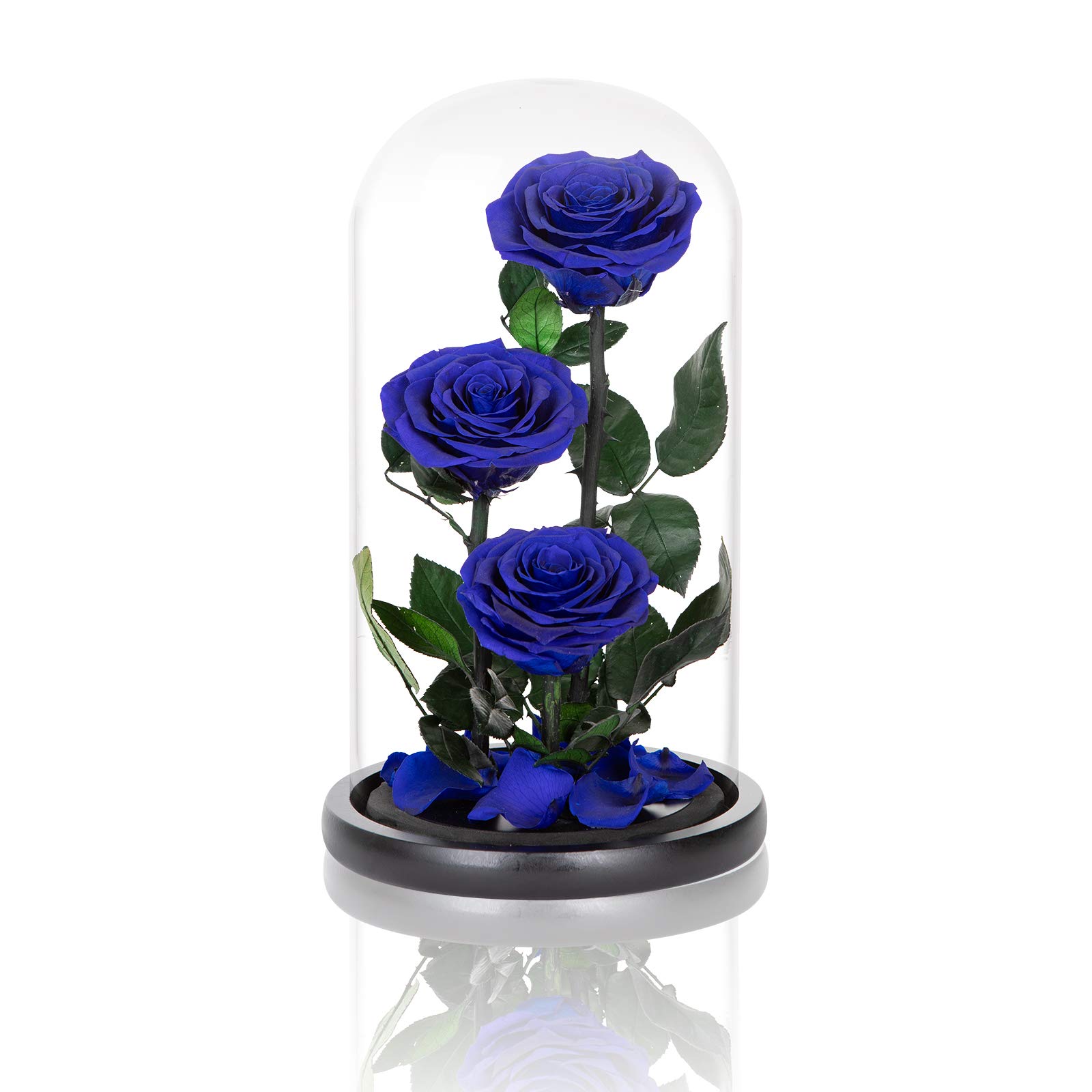 Handmade Preserved Real Blue Rose in Glass Dome - 13 Inch Never Withered Rose Gift for Women | Birthday, Anniversary, Home Decor & Romantic Gift Idea