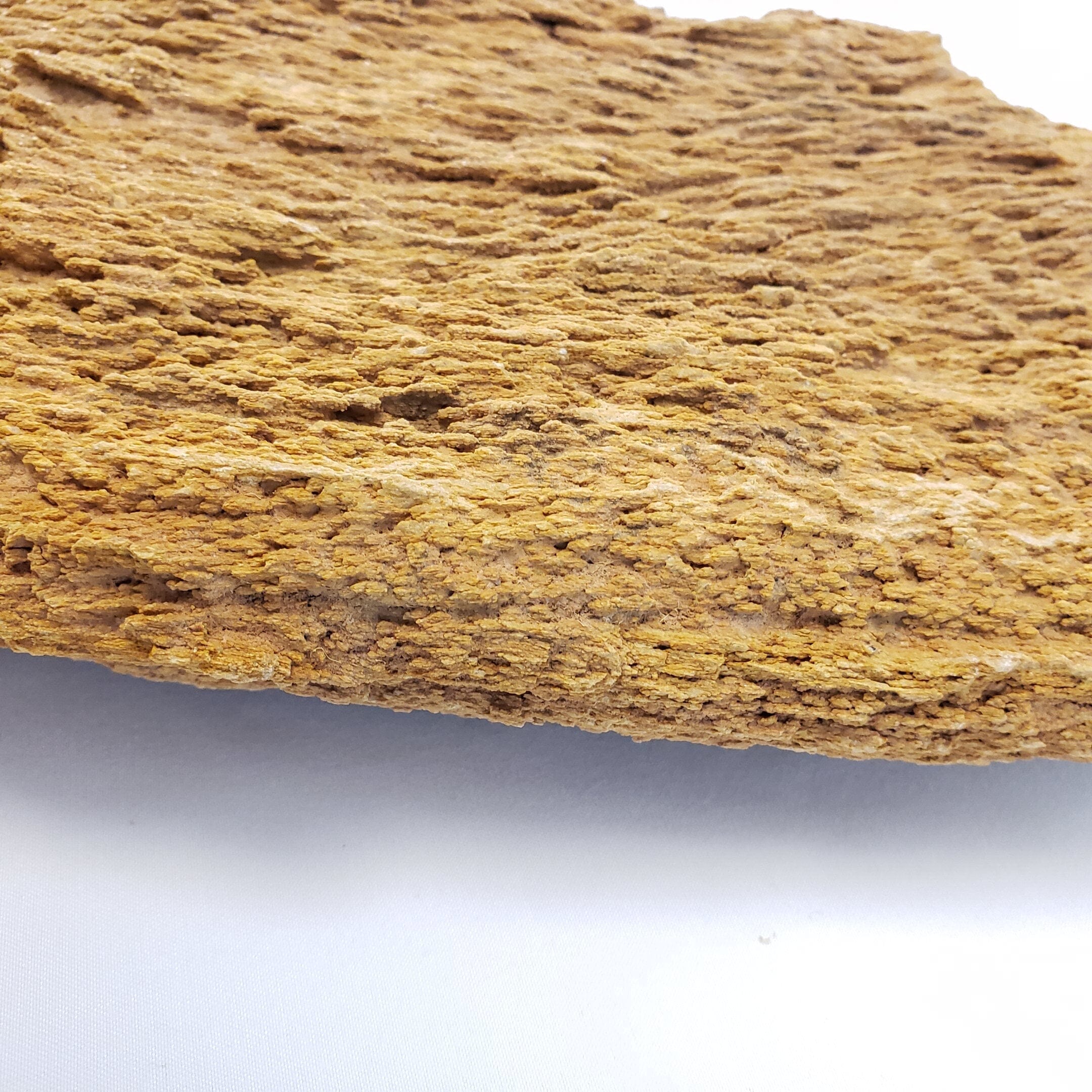 Natural Burma Petrified Stone for Aquarium & Terrarium - 44 Lbs Box of Small Decorative Rocks - Perfect for Fish Tanks, Reptile Habitats & Zen Garden Landscaping