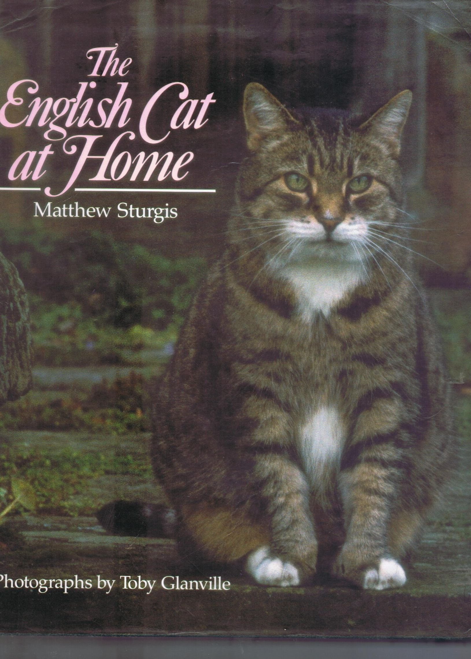 The English Cat at Home - Premium Indoor Cat Bed for Cozy Napping | Perfect for Living Rooms & Bedrooms