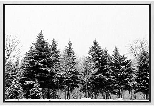 Tree-h02
