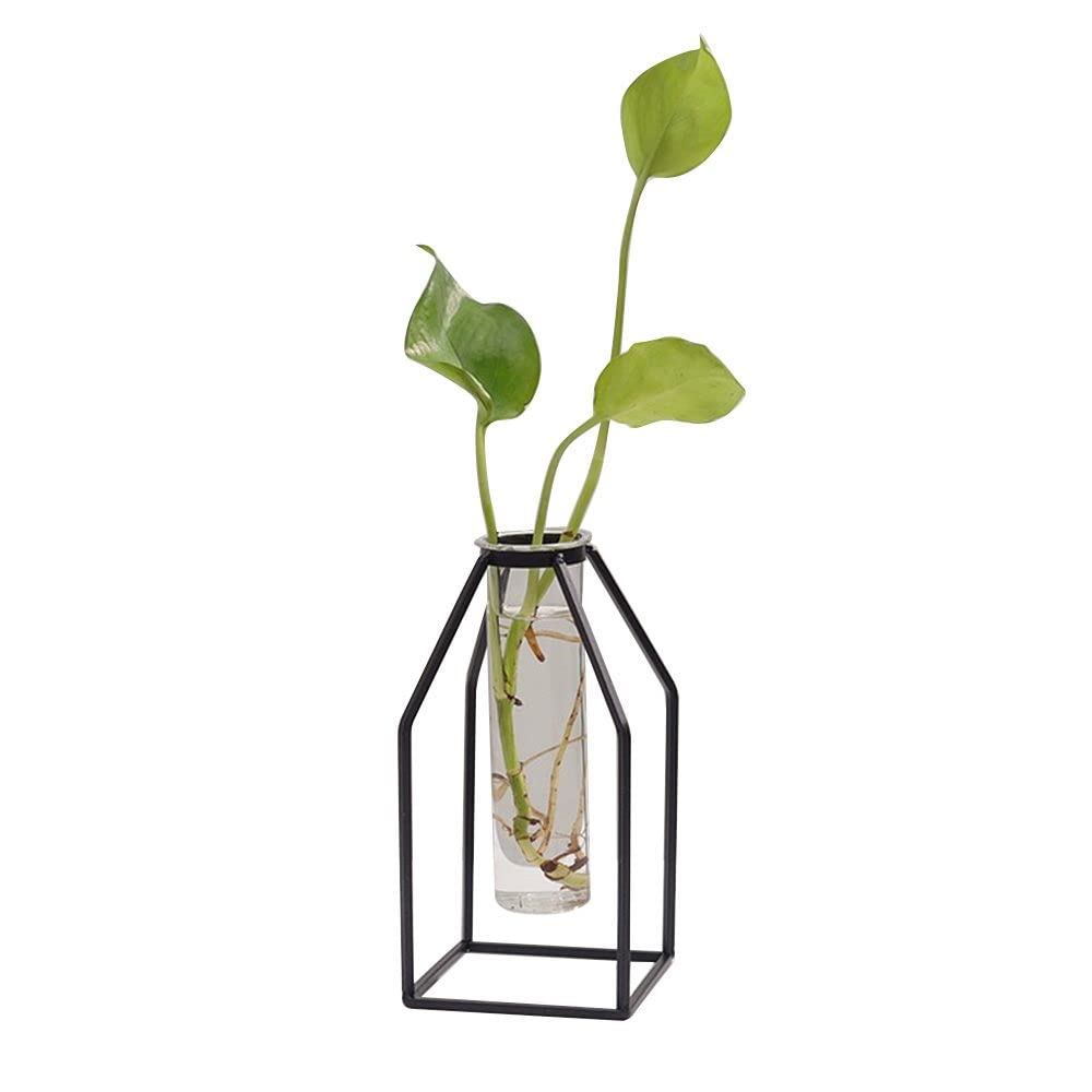 Nordic Style Glass Vase for Hydroponic Plants & Flower Arrangements - Modern Home & Office Decor, Tabletop Centerpiece (Style 2) | Perfect for Living Room, Dining Table, Wedding Decor & Gift Ideas