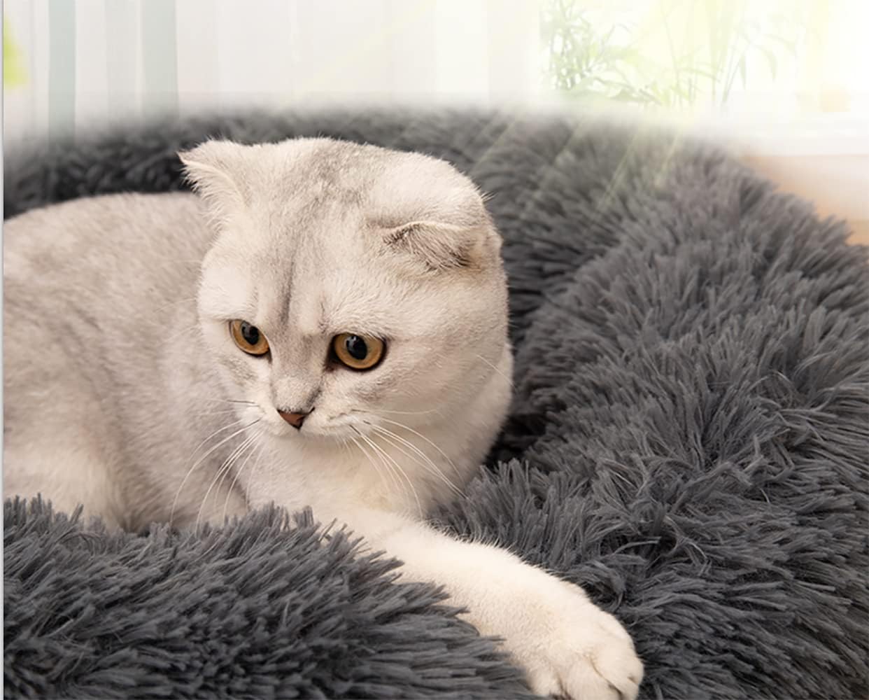 Cozy Plush Round Cat Bed for Small Dogs & Kittens - Soft Warm Pet Donut Bed with Anti-Slip Bottom (36x36x12cm) - Perfect for Indoor Lounging, Napping & Cuddling
