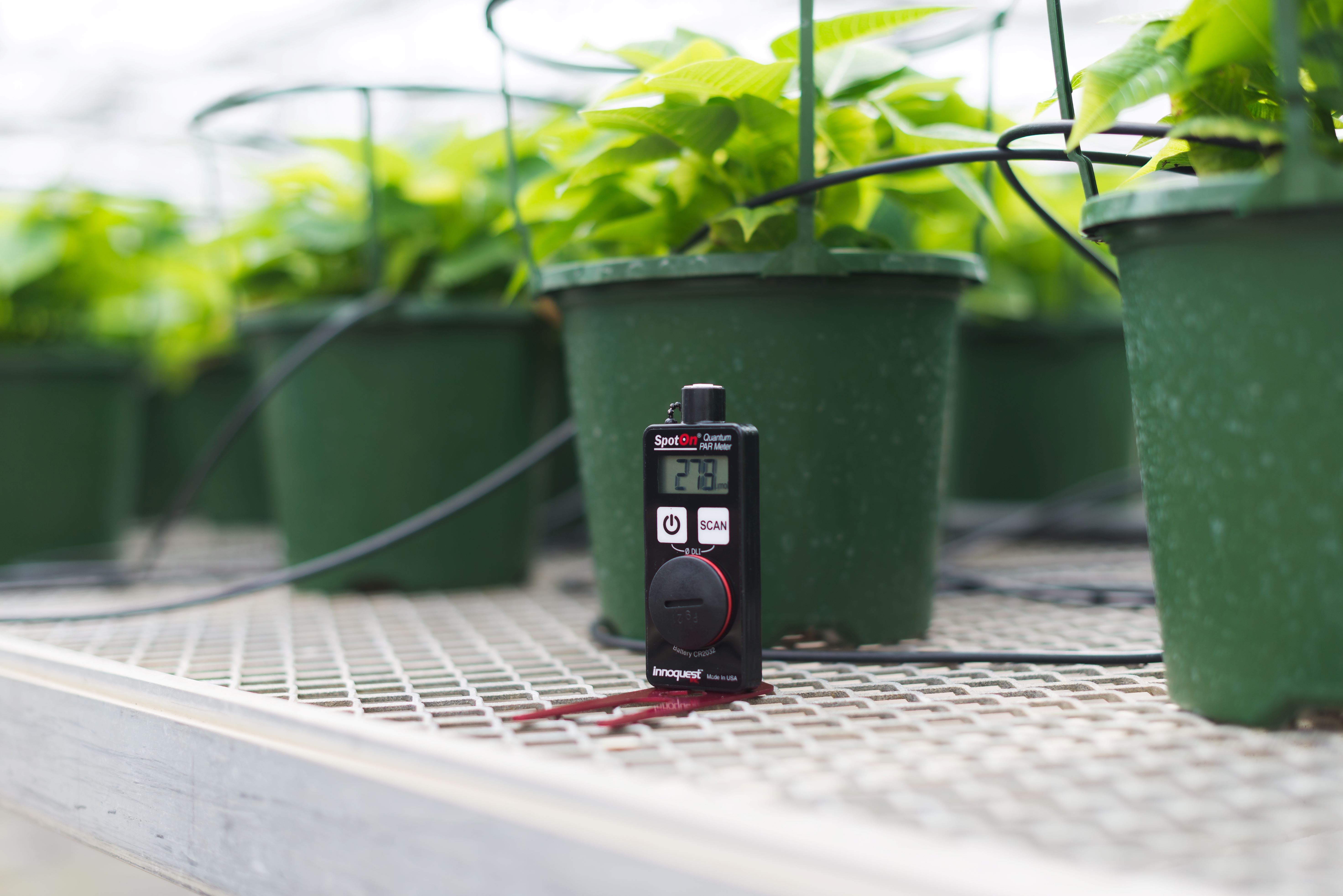 SpotOn® Quantum PAR Light Meter for Plants - Accurate PPFD Measurement for Indoor Grow Lights, Hydroponics, and Greenhouse Gardening | Free Shipping