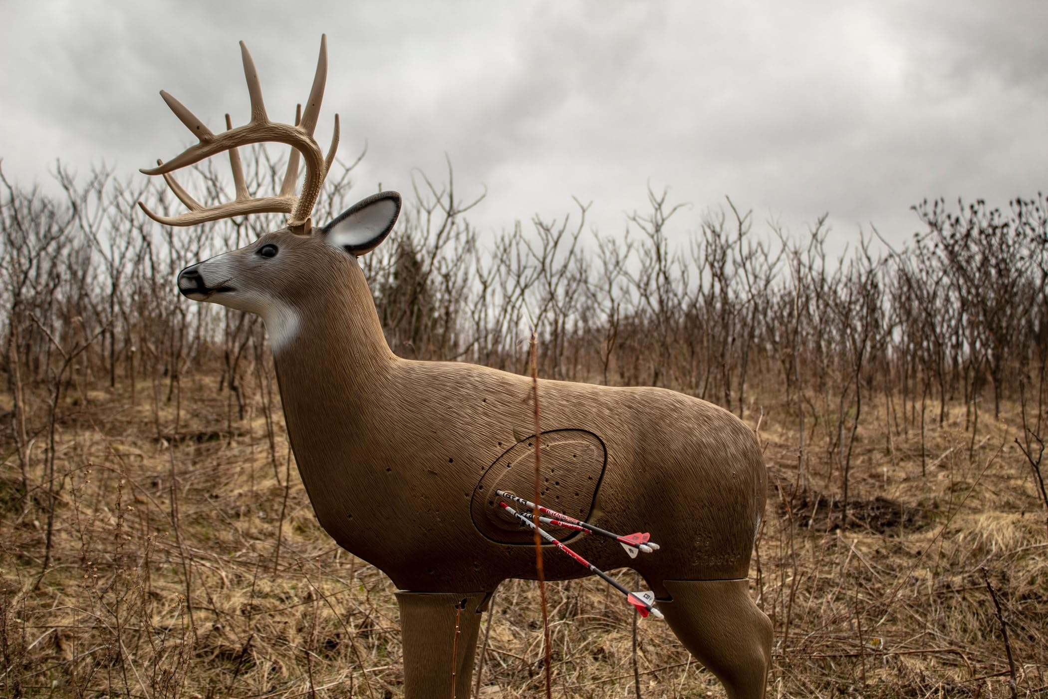 Field Logic Big Shooter Buck 3D Archery Target with Replaceable Insert Core - Realistic Deer Hunting Practice Target for Bow & Arrow Training - Perfect for Backyard, Range, and Outdoor Shooting Practice
