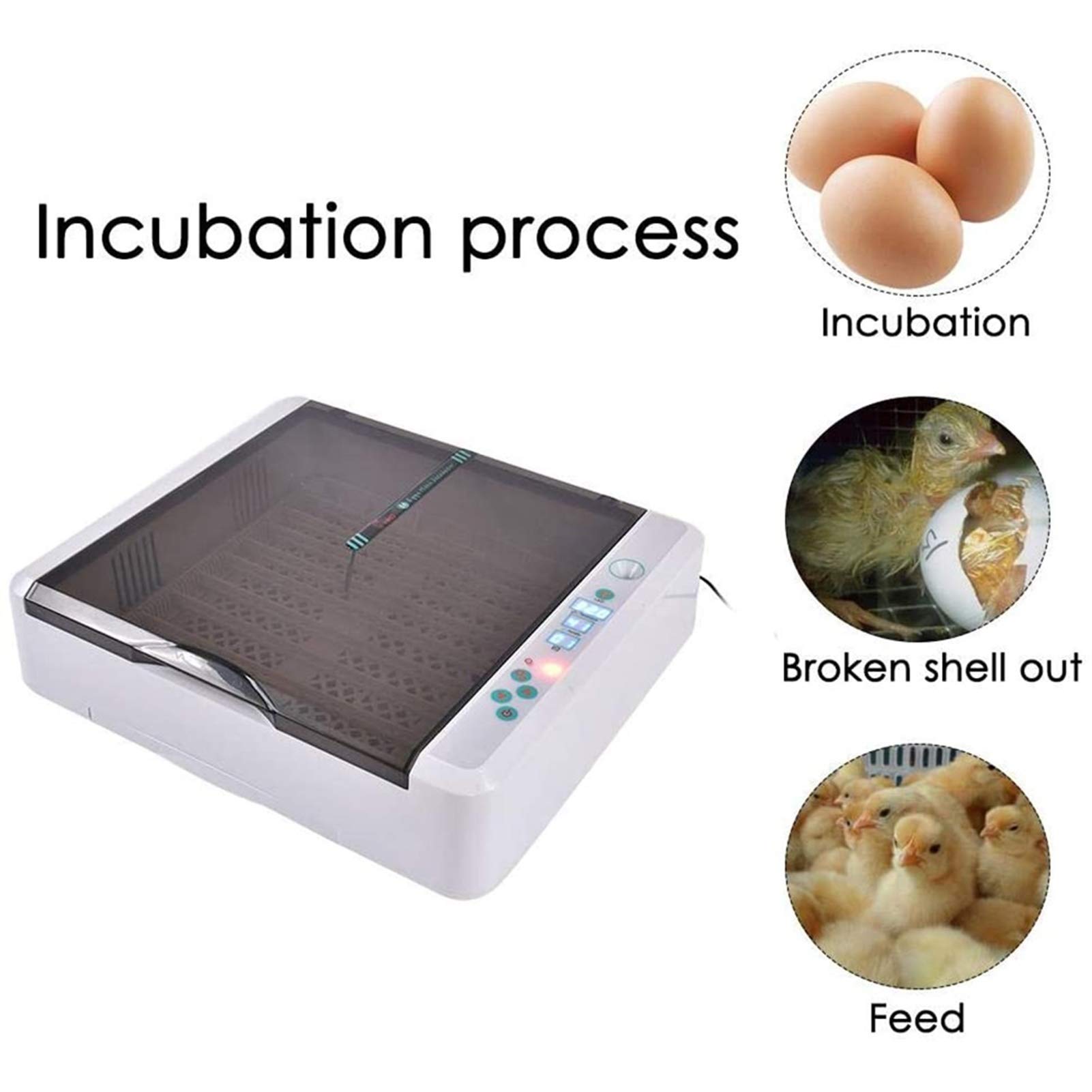 36 Egg Digital Incubator with Automatic Turning & Temperature Control - LED Egg Candler for Hatching Chicken, Duck, Goose, Quail, Turkey - Perfect for Home Poultry Farming & Backyard Hatching Projects