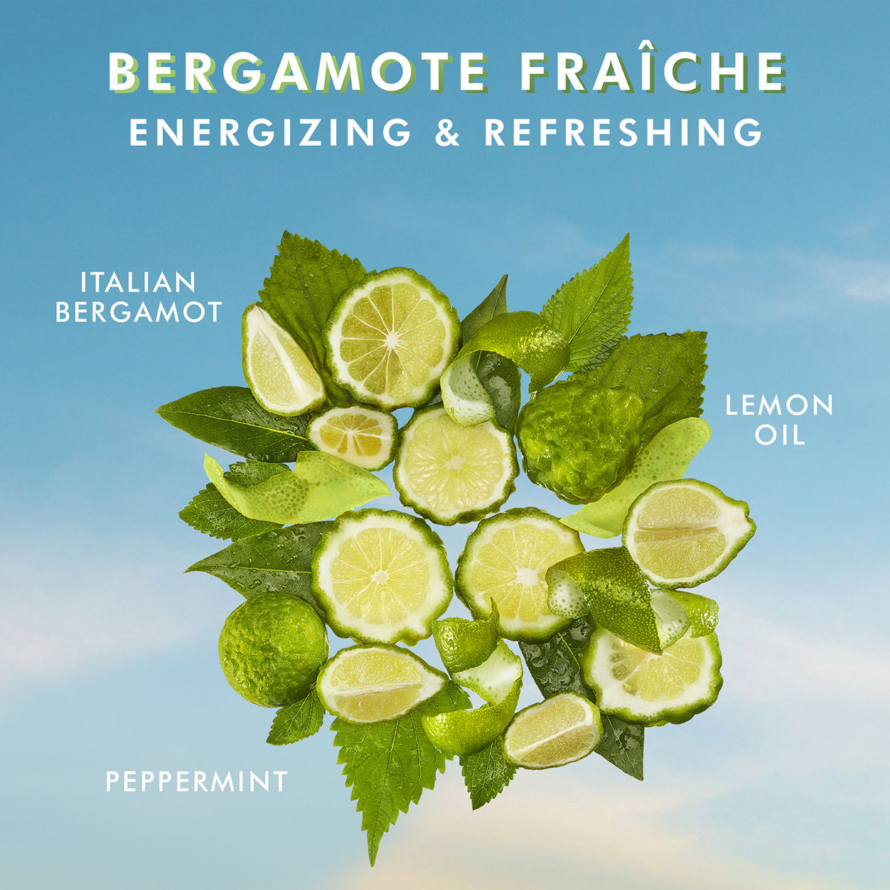 Bergamot Fresh Hand Cream - Moisturizing & Nourishing for Dry Skin - Perfect for Winter Care & Daily Hydration