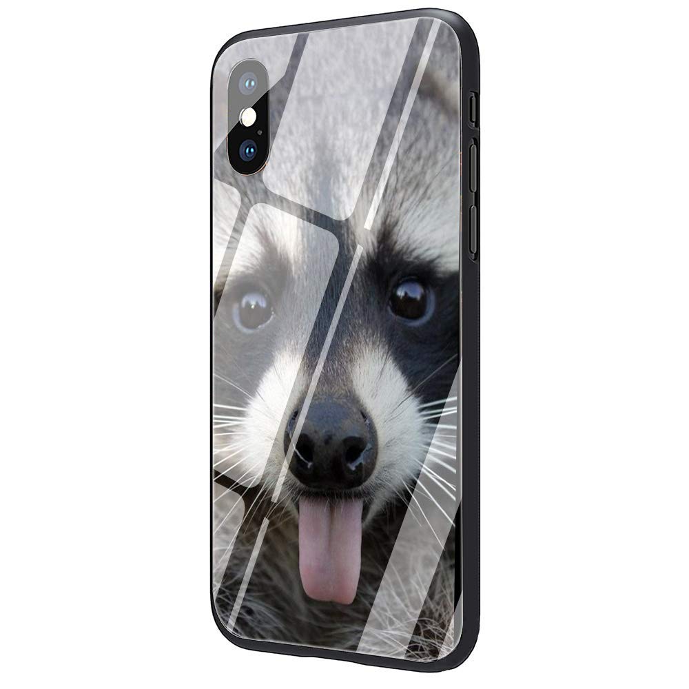 Cute Raccoon Design Tempered Glass Phone Case for Apple iPhone X/Xs Max/XR/8/7/6/6S Plus - Shockproof & Scratch-Resistant Protective Cover (Compatible with iPhone 6 Plus/6S Plus) - Perfect for Outdoor Activities, Travel & Daily Use